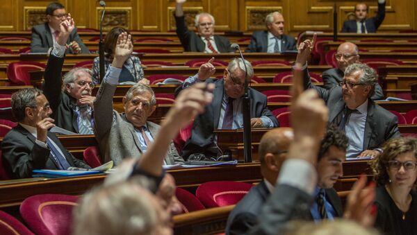 أعضاء مجلس الشيوخ الفرنسي خلال تصويتهم لتبني قرار يدعو إلى تخفيف العقوبات ضد روسيا. - سبوتنيك عربي