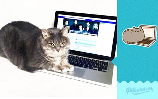 فرنسي بالتعاون مع قطه يعمل ملصقات للفيس بوك (صور) - سبوتنيك عربي