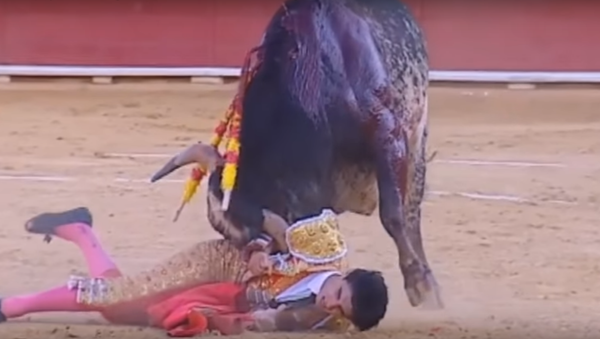 مصارع الثيران الإسباني فيكتور باريو - سبوتنيك عربي