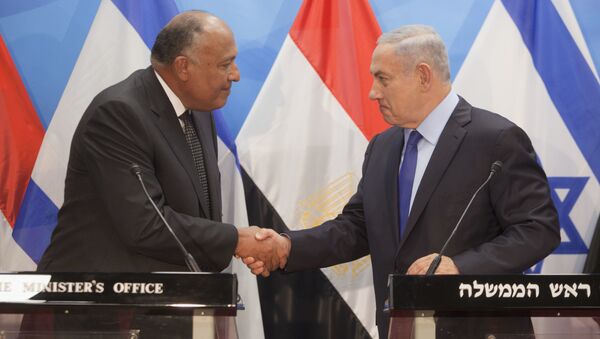 مصر وإسرائيل - سبوتنيك عربي