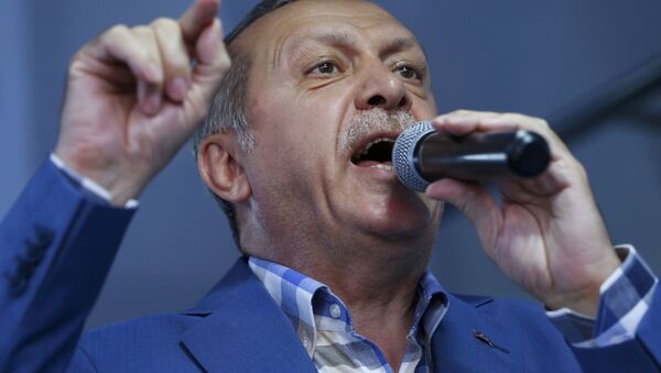 الرئيس التركي رجب طيب أردوغان - سبوتنيك عربي