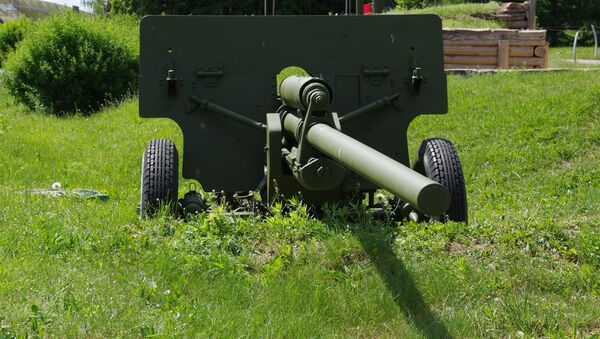 مدفع زيس - 2 - سبوتنيك عربي