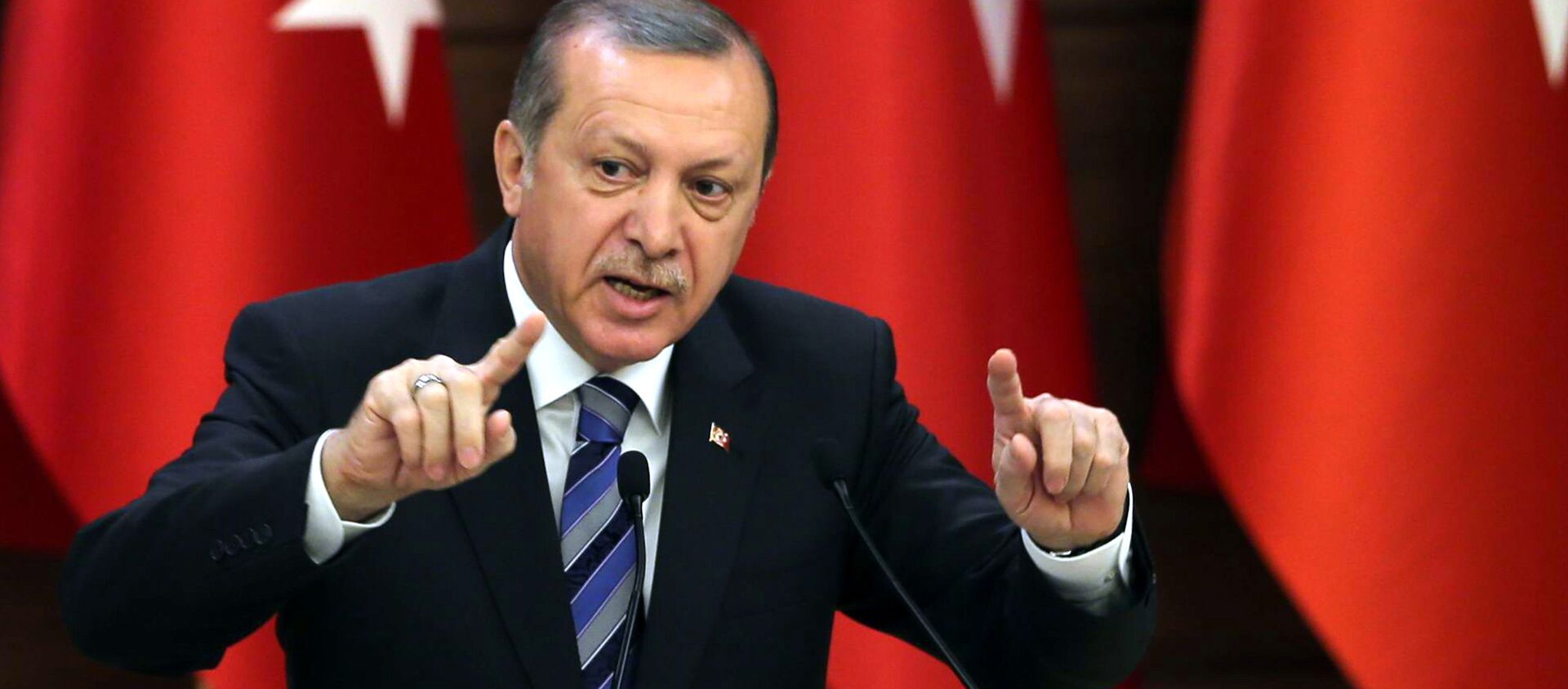 الرئيس التركي رجب طيب أردوغان - سبوتنيك عربي, 1920, 14.05.2021