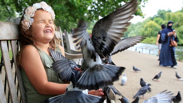 طفلة صغيرة تلعب مع الطيور في حديقة بلندن، 20 يوليو/ تموز 2016 - سبوتنيك عربي