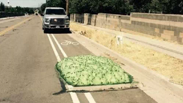 كتل خضراء تثير الرعب على الطرقات في الولايات المتحدة - سبوتنيك عربي