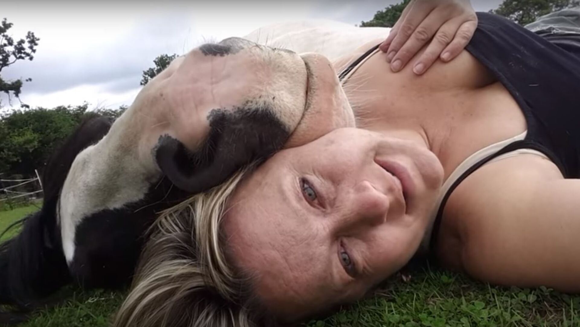 بنات تنتاك من حيوانات