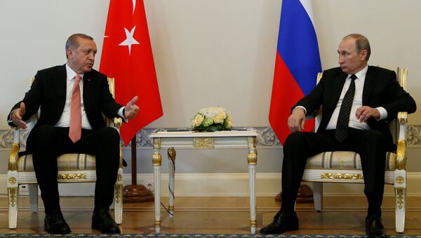 لقاء فلاديمير بوتين ورجب طيب أردوغان في سانت بطرسبرغ - سبوتنيك عربي