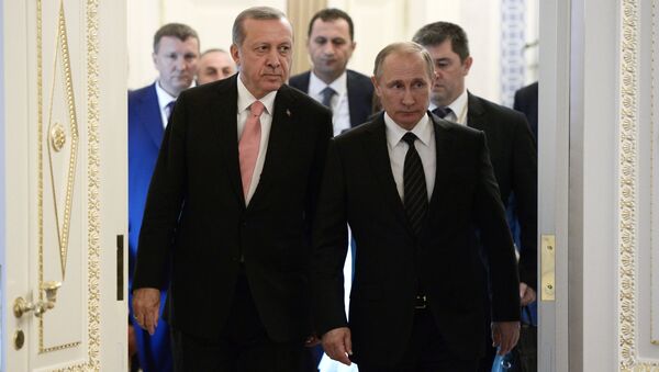 الرئيس فلاديمير بوتين والرئيس التركي رجب طيب أردوغان في سانت بطرسبورغ - سبوتنيك عربي