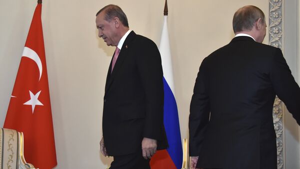 لقاء الرئيس فلاديمير بوتين والرئيس رجب طيب أردوغان - سبوتنيك عربي