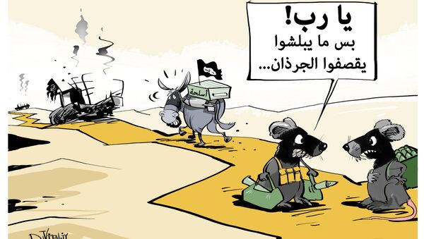 حقيقة تسليح الحمير من قبل داعش - سبوتنيك عربي