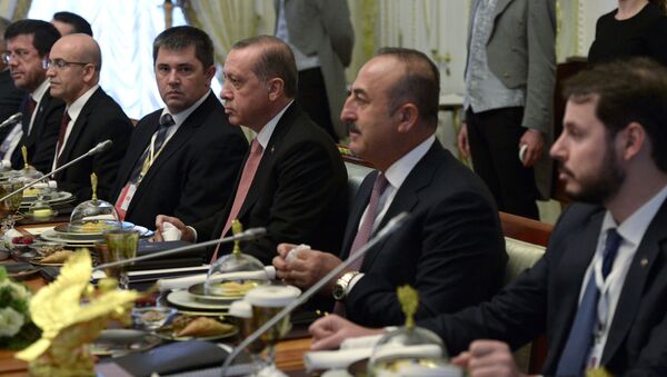 الرئيس التركي خلال اجتماع مع الرئيس الروسي في سان بطرسبورغ - سبوتنيك عربي