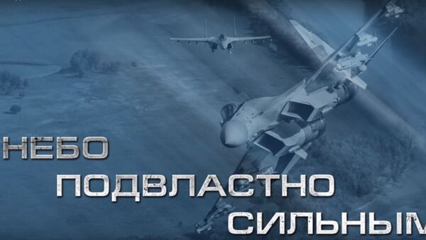 القوات الجوية الروسية - سبوتنيك عربي