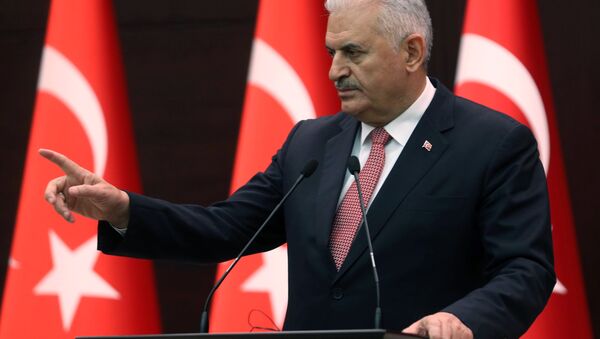 رئيس الوزراء التركي بن علي يلدريم في أنقرة - سبوتنيك عربي