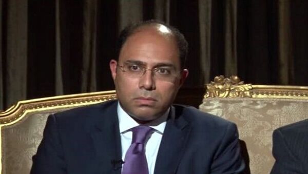 المتحدث الرسمي للخارجية المصرية أحمد أبو زيد - سبوتنيك عربي