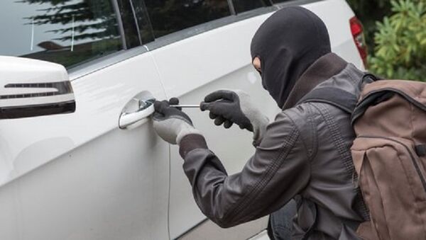 سرقة السيارات - سبوتنيك عربي