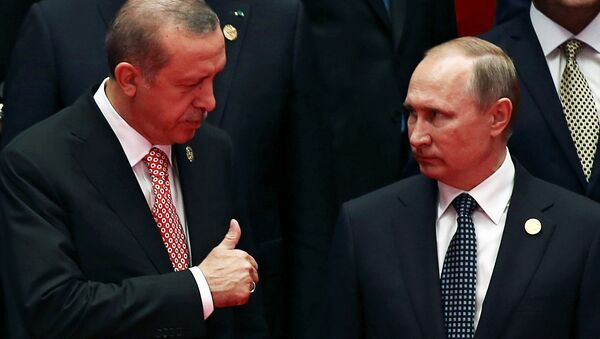 بوتين وأردوغان في قمة العشرين بالصين - سبوتنيك عربي