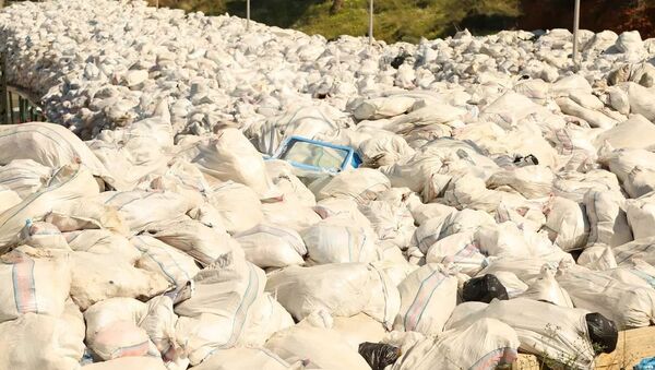 أزمة النفايات مستمرة في لبنان - سبوتنيك عربي