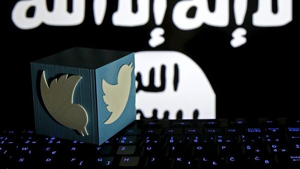 يظهر على الصورة شعار تويتر وفي الخلفية علم منظمة داعش الإرهابية - سبوتنيك عربي