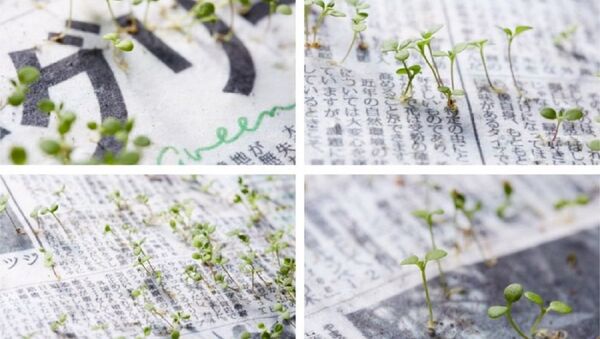 صحيفة يابانية تتحول إلى نباتات - سبوتنيك عربي