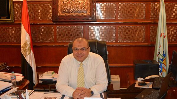 وزير القوى العاملة المصري محمد سعفان  - سبوتنيك عربي