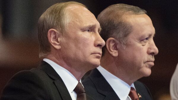 الرئيس الروسي فلاديمير بوتين والرئيس التركي رجب طيب أردوغان - سبوتنيك عربي