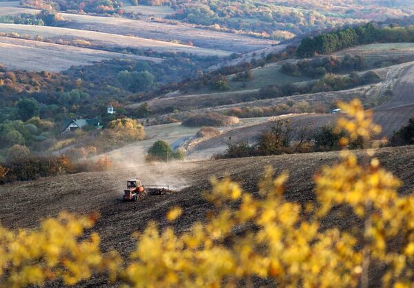 جرافة يحرث الأرض الزارعية خلال فصل الخريف في قرية كلينكوفا بمنطقة سيمفيروبل، شبه جزيرة القرم، روسيا - سبوتنيك عربي