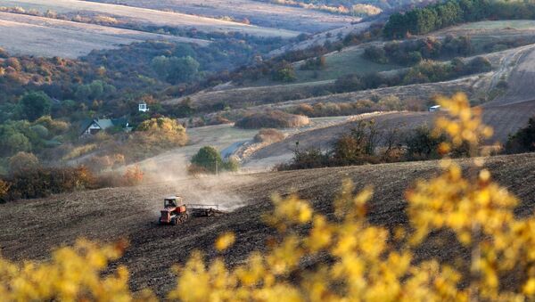 جرافة يحرث الأرض الزارعية خلال فصل الخريف في قرية كلينكوفا بمنطقة سيمفيروبل، شبه جزيرة القرم، روسيا - سبوتنيك عربي