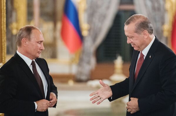 الرئيس فلاديمير بوتين يلتقي بالرئيس رجب طيب أردوغان في اسطنبول - سبوتنيك عربي
