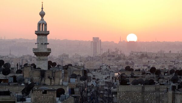 مدينة حلب - سبوتنيك عربي