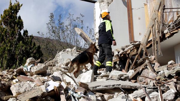فرد من فريق الإنقاذ وكلب يبحثون عن نجاة مواطنيم إثر زلزال ضرب بورغو سان أنطونيو بالقرب من فيسو، إيطاليا 27 أكتوبر/ تشرين الأول 2016 - سبوتنيك عربي