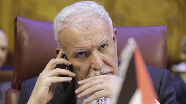 وزير الخارجية الفلسطينية رياض المالكي - سبوتنيك عربي