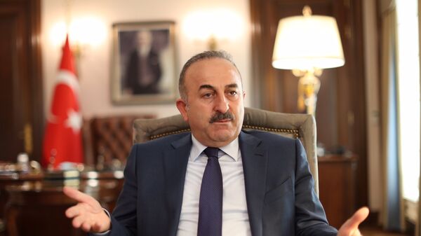 وزير الخارجية التركية مولود جاويش أوغلو - سبوتنيك عربي