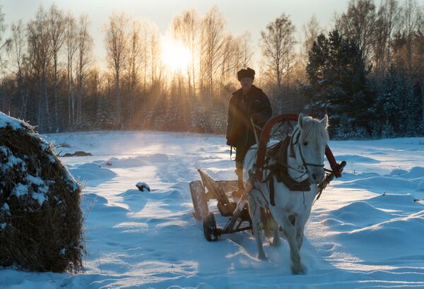 عربة يقودها رجل في قرية بيريزوفكا بمقاطعة تومسك - سبوتنيك عربي