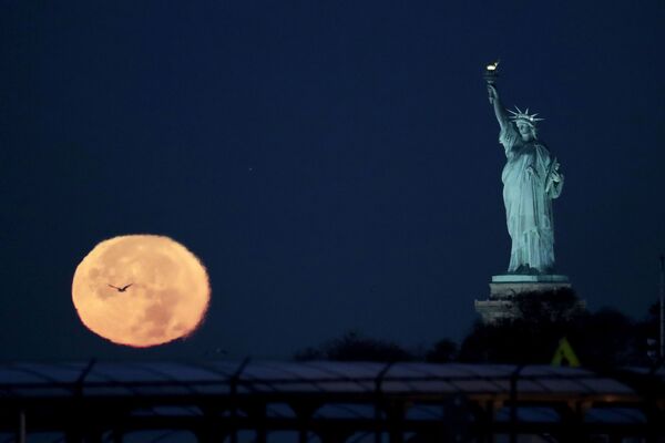 القمر العملاق في مدينة نيويورك، الولايات المتحدة، 14 نوفمبر/ تشرين الثاني 2016 - سبوتنيك عربي