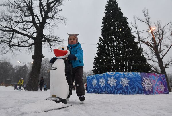 ساحة التزلج على الجليد في الحديقة العامة إزمايلوفسكي في موسكو - سبوتنيك عربي
