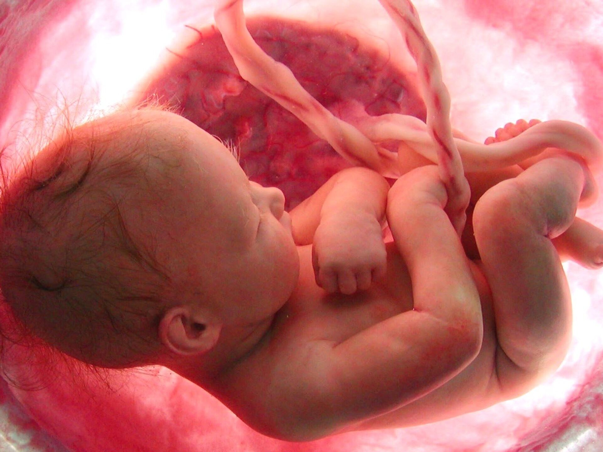 อัตราการเต้นของหัวใจทารกในครรภ์สูงเป็นอันตรายหรือไม่?