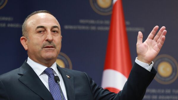 وزير الخارجية التركي مولود جاويش أوغلو - سبوتنيك عربي