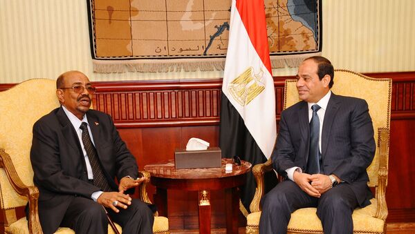 مصر والسودان - سبوتنيك عربي