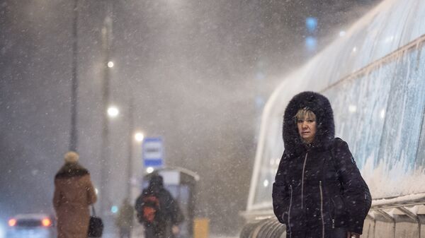 عاصفة ثلجية في موسكو - سبوتنيك عربي