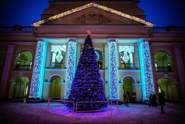 شجرة رأس السنة في مدينة سانت بطرسبورغ، روسيا، ديسمبر/ كانون الأول 2016 - سبوتنيك عربي