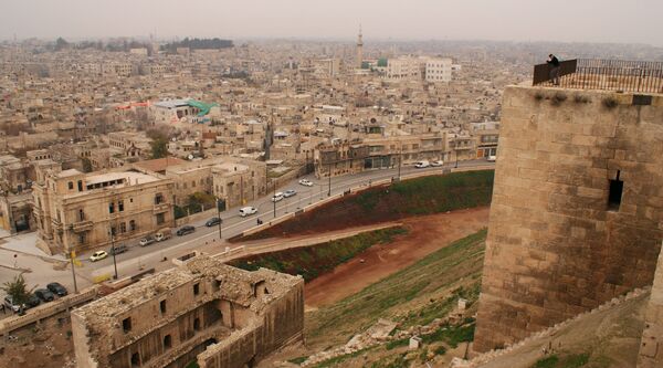 رجل يقف في أعلى القلعة التاريخية في حلب، 2009 - سبوتنيك عربي