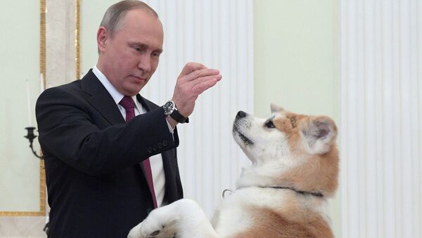 بوتين وكلبه الياباني - سبوتنيك عربي