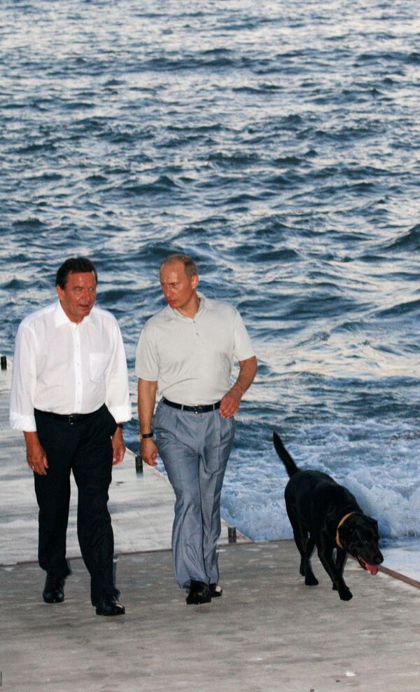 الرئيس فلاديمير بوتين خلال لقائه بالمستشار الألماني غيرهارد شرودر في مدينة سوتشي - سبوتنيك عربي