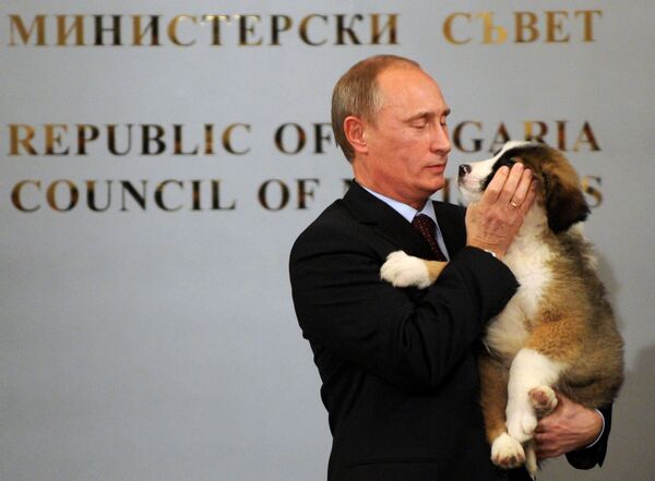 رئيس الوزراء الروسي (حينذاك) فلاديمير بوتين يحمل كلب الراعي البلغاري، الذي أهداه إياه نظيره من باكو، خلال لقائهما في مؤتمر صحفي في صوفيا، 13 نوفمبر/ تشرين الثاني 2016 - سبوتنيك عربي