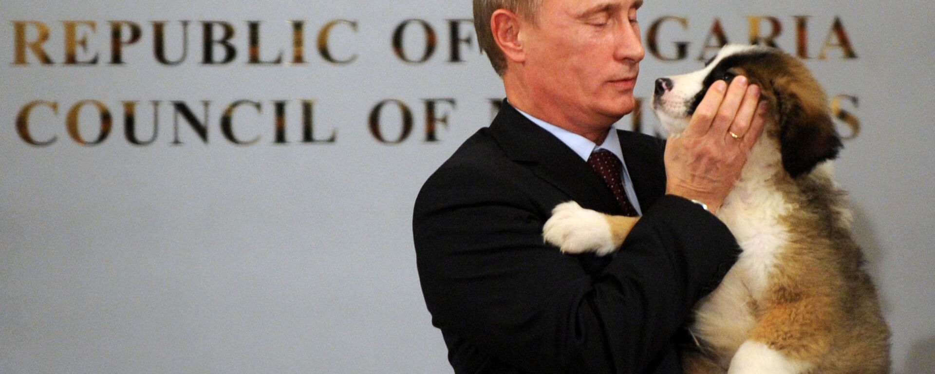 رئيس الوزراء الروسي (حينذاك) فلاديمير بوتين يحمل كلب الراعي البلغاري، الذي أهداه إياه نظيره من باكو، خلال لقائهما في مؤتمر صحفي في صوفيا، 13 نوفمبر/ تشرين الثاني 2016 - سبوتنيك عربي, 1920, 06.10.2023