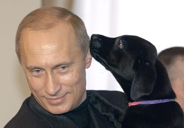 الرئيس فلاديمير بوتين وجرو كلب اللابرادور كوني الخاص به، الذي أهداه لفتاة صغيرة كاتيا من سمولينسك. - سبوتنيك عربي