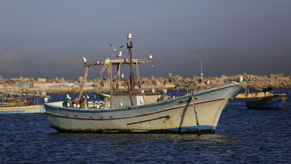 ميناء غزة، مدينة غزة، قطاع غزة، فلسطين، 12 ديسمبر/ كانون الأول 2016 - سبوتنيك عربي