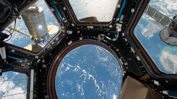 المركبة الفضائية سيغنوس عبر نافذة محطة الفضاء الدولية - سبوتنيك عربي