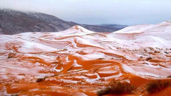 تساقط الثلوج في الصحراء الكبرى الأفريقية لأول مرة منذ 40 عاما  - سبوتنيك عربي