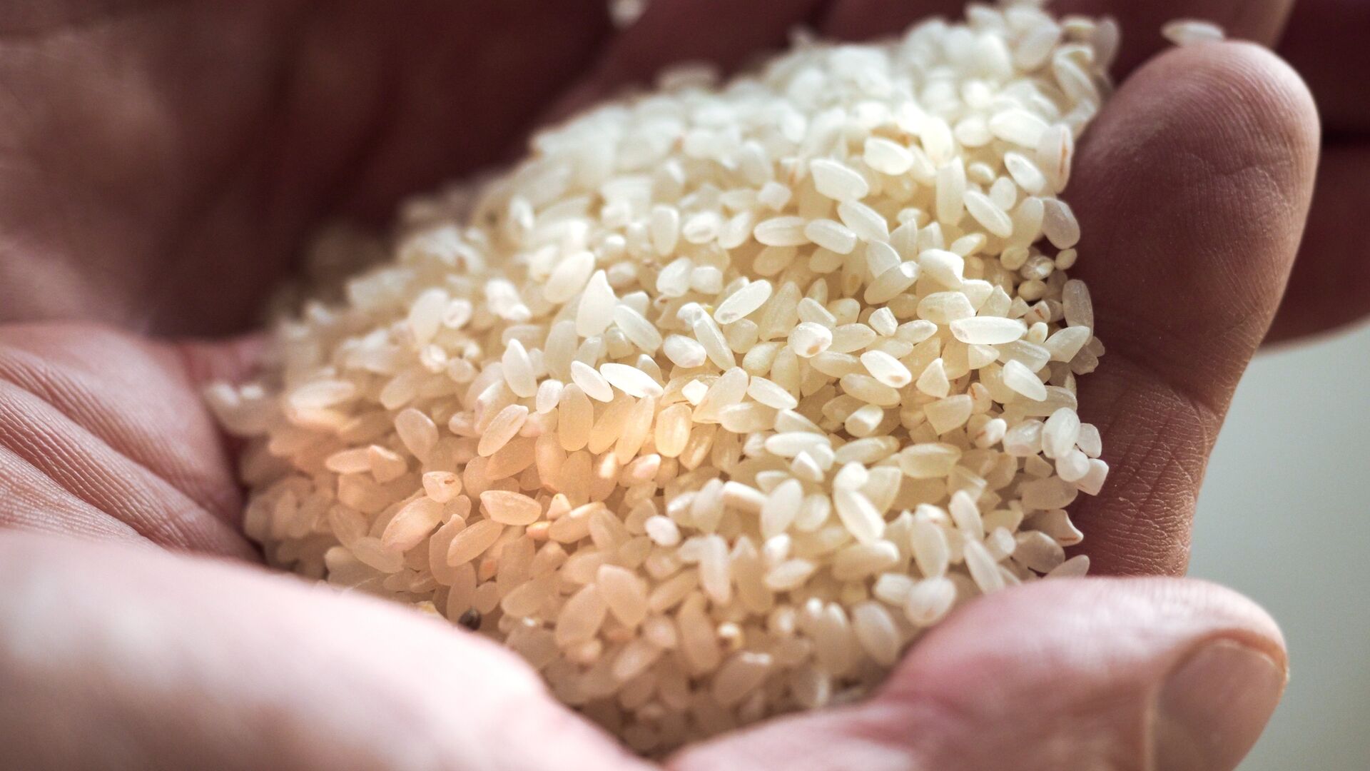 نيجيريا تصادر كميات كبيرة من الأرز البلاستيكية - سبوتنيك عربي, 1920, 13.11.2021